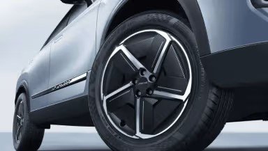 Roda 19 ”